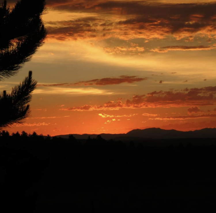 Between Light and Darkness