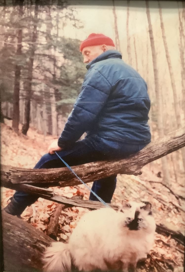 Hemlock Lane on Bailey Run