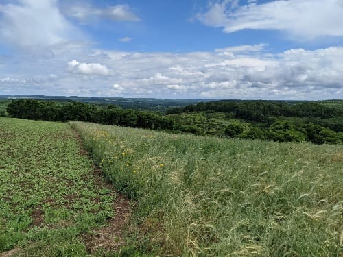 The Upper Place Pt. 1