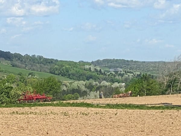 The Upper Place Pt. 2