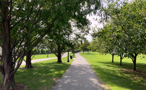 Why These Moments Pt 1