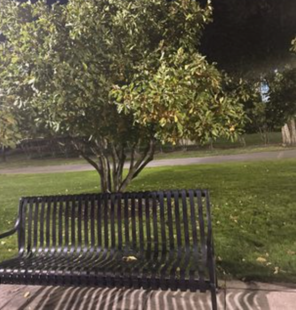 Why These Moments pt. 2